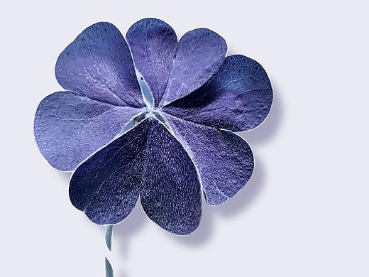 小確幸（個人主頁-ZNTcwMDY5ODg=） - 風光攝影 - 站酷設(shè)計師敬個哩原創(chuàng)素材 - 站酷ZCOOL