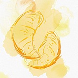 宝柚子的头像