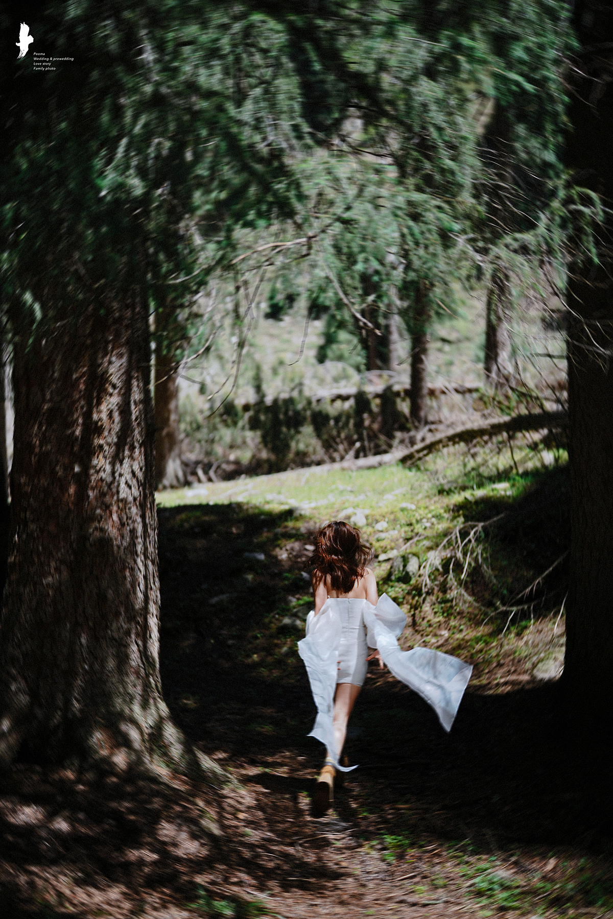 新疆拍摄的可爱一对