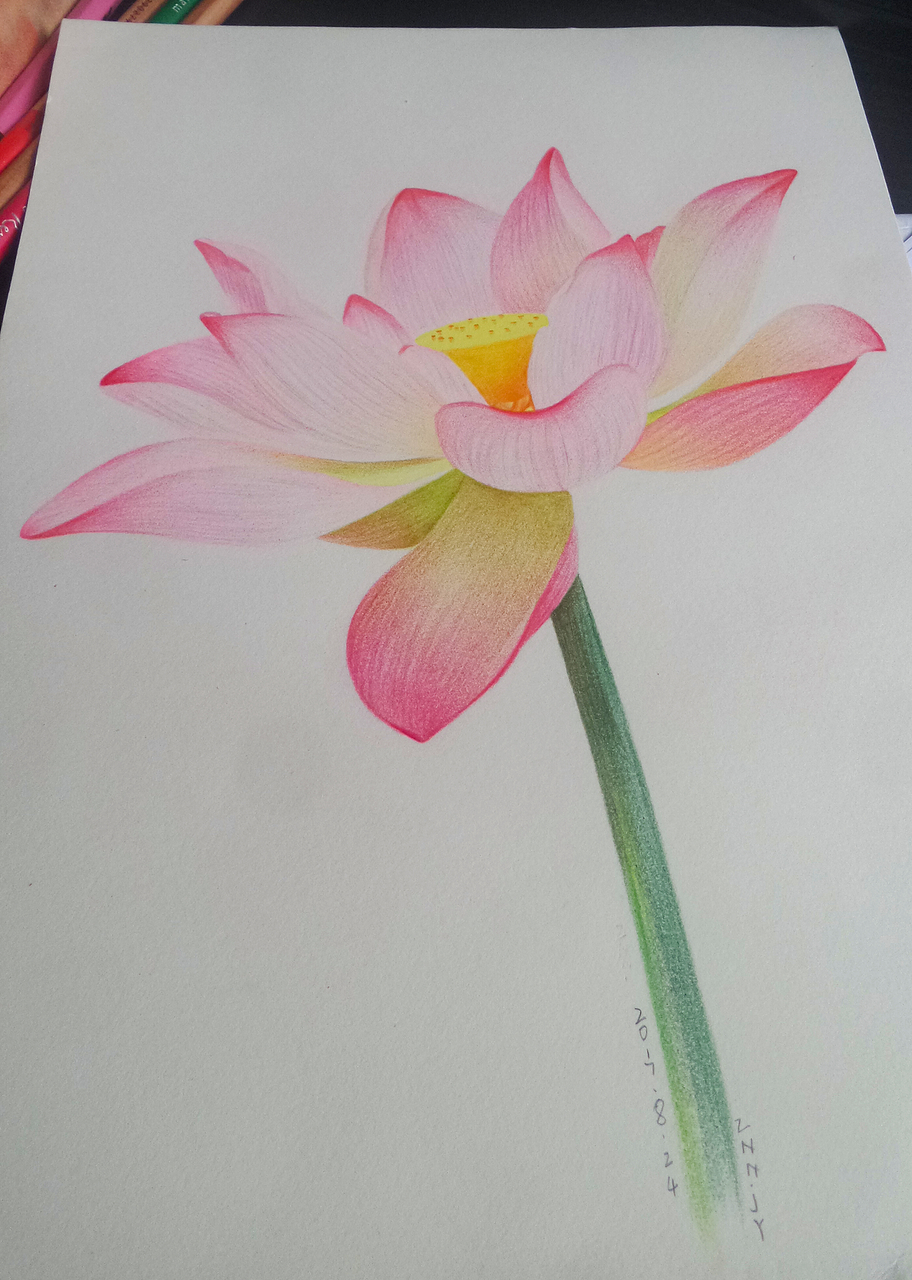 手绘彩铅画 荷花 花卉