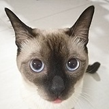 KIM_SANNA的头像