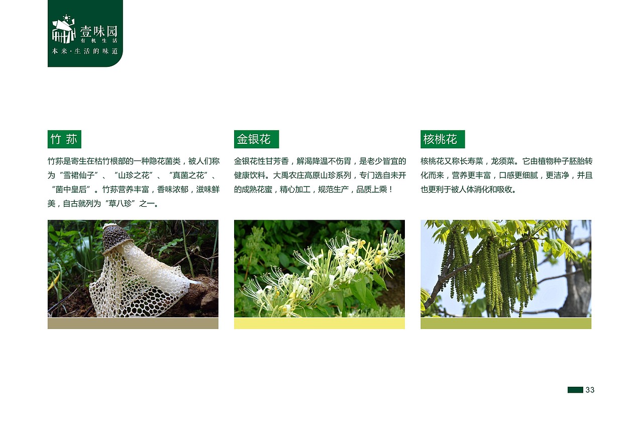 一本绿色食品的电子画册，不足之处欢迎指教。（图ZMjc0NjczODA=） - 书籍/画册 - 站酷设计师wangtong20原创素材 - 站酷ZCOOL