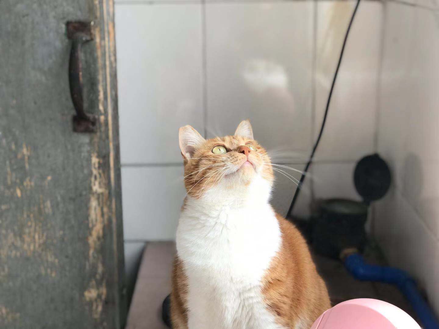 阿寧Ning的個(gè)人主頁(yè)（封面預(yù)覽） - 主頁(yè)封面設(shè)置 - 站酷設(shè)計(jì)師阿寧Ning原創(chuàng)素材 - 站酷ZCOOL