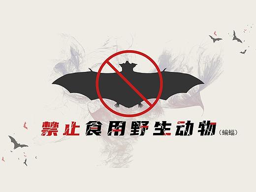 禁止食用野生动物