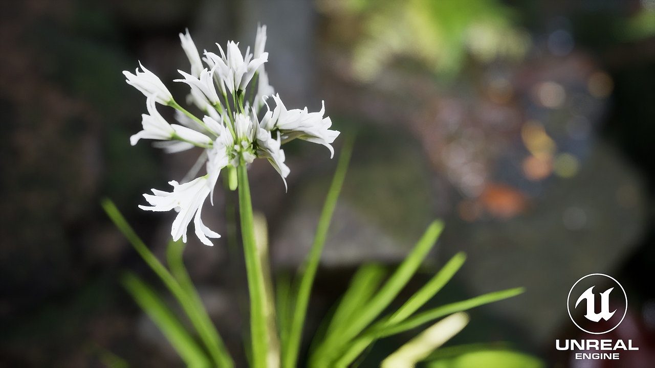 菌子（图ZMjYyMjM2MzU2） - 场景 - 站酷设计师潶桐原创素材 - 站酷ZCOOL