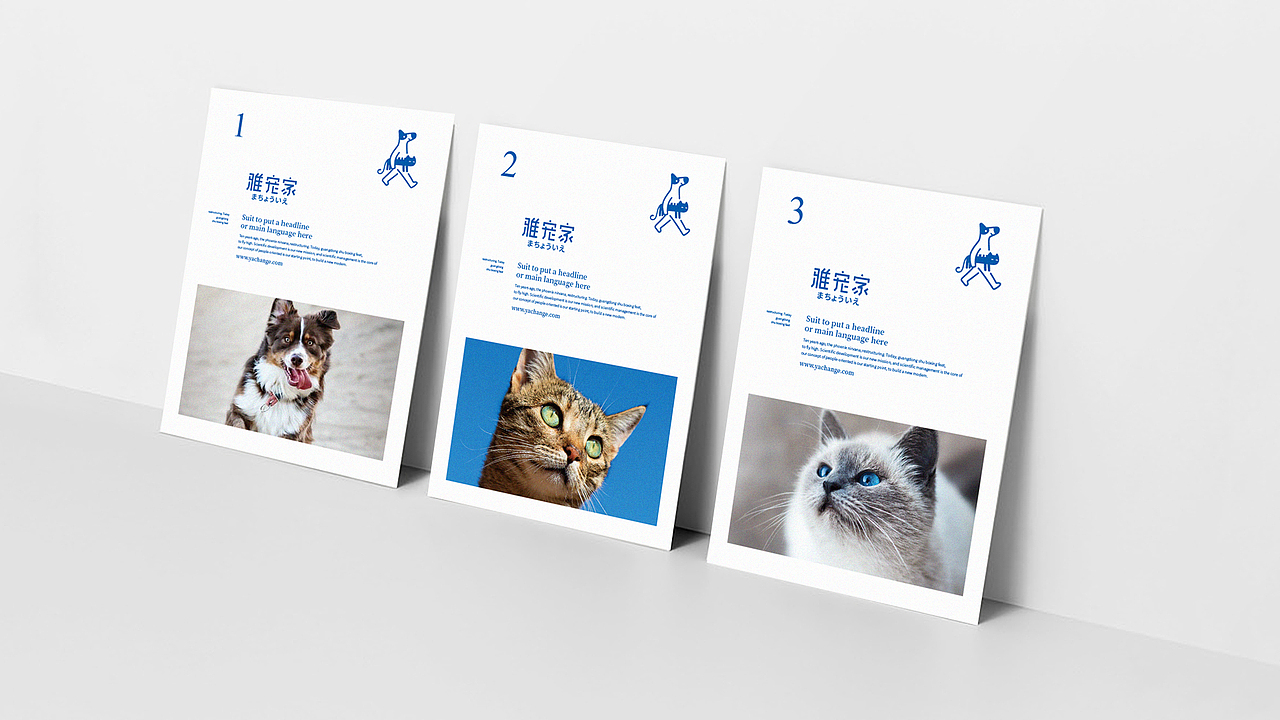 LOGO 宠物LOGO设计 猫粮包装 宠物品牌设计 vi vi设计(图ZMjYwNTYwNDM2) - Logo - 站酷设计师郑昌洪品牌vi包装原创素材 - 站酷ZCOOL