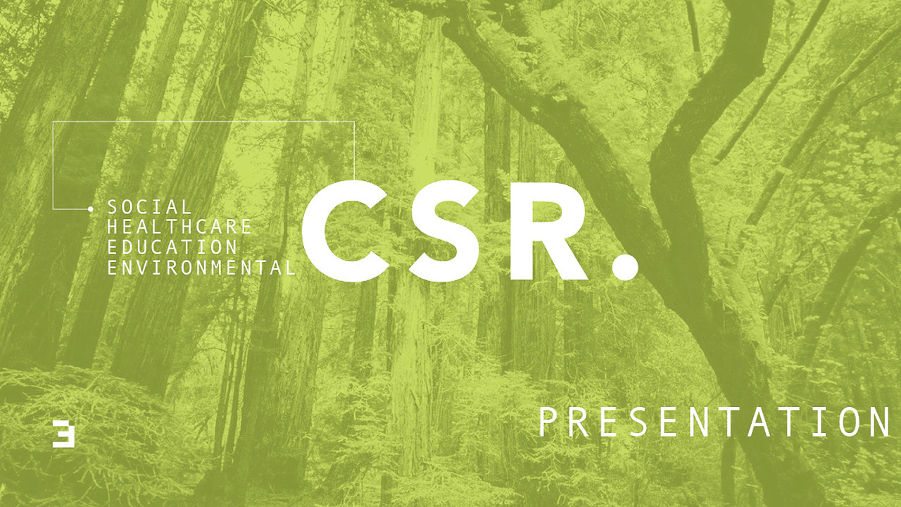 企业社会责任project