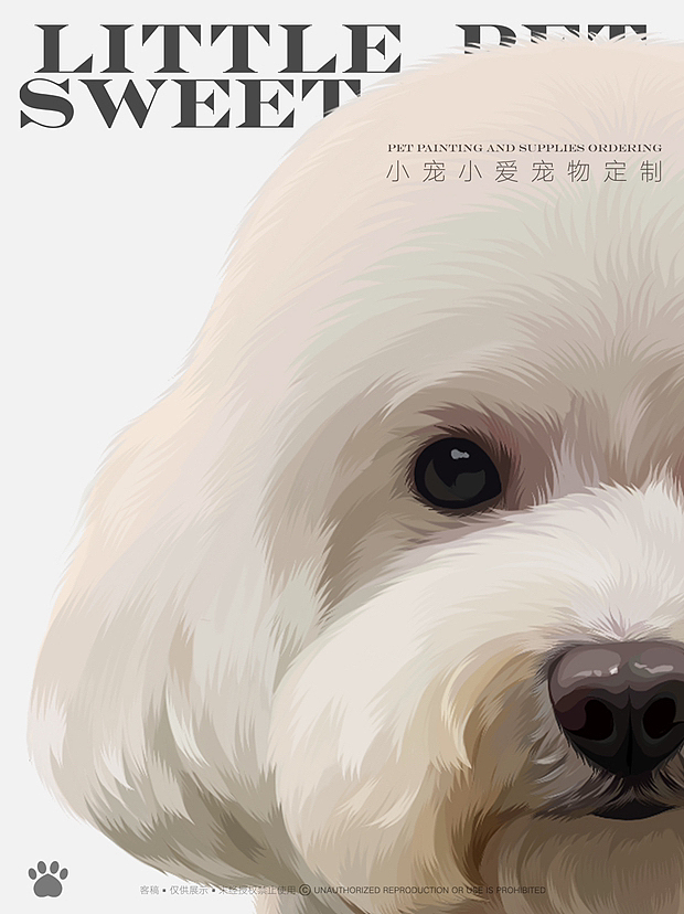 宠物画像|宠物周边