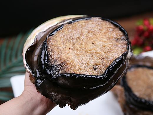 鲍鱼、象牙蚌、帝王蟹