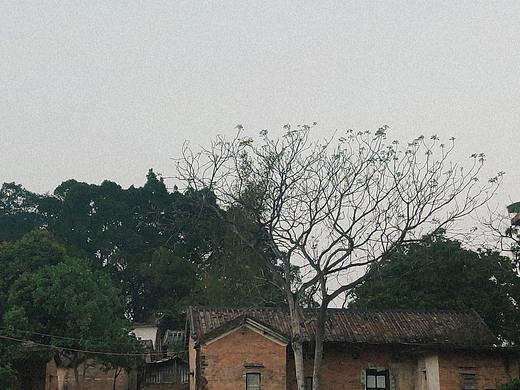 家乡（个人主页-ZNTYwODY3ODQ=） - 风光摄影 - 站酷设计师孜川原创素材 - 站酷ZCOOL