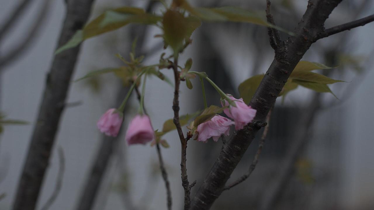 6D魔灯raw 14bit 调色（视频）（图ZNDQ4MDYwODg=） - 其他摄影 - 站酷设计师seemon周军原创素材 - 站酷ZCOOL