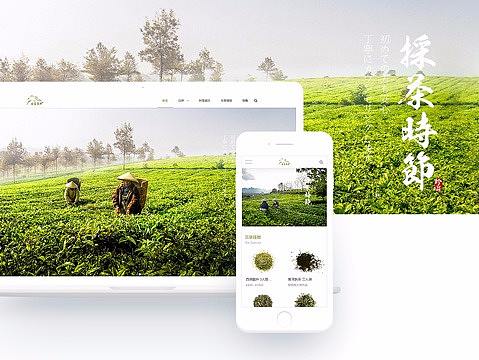 茶叶类模板网站