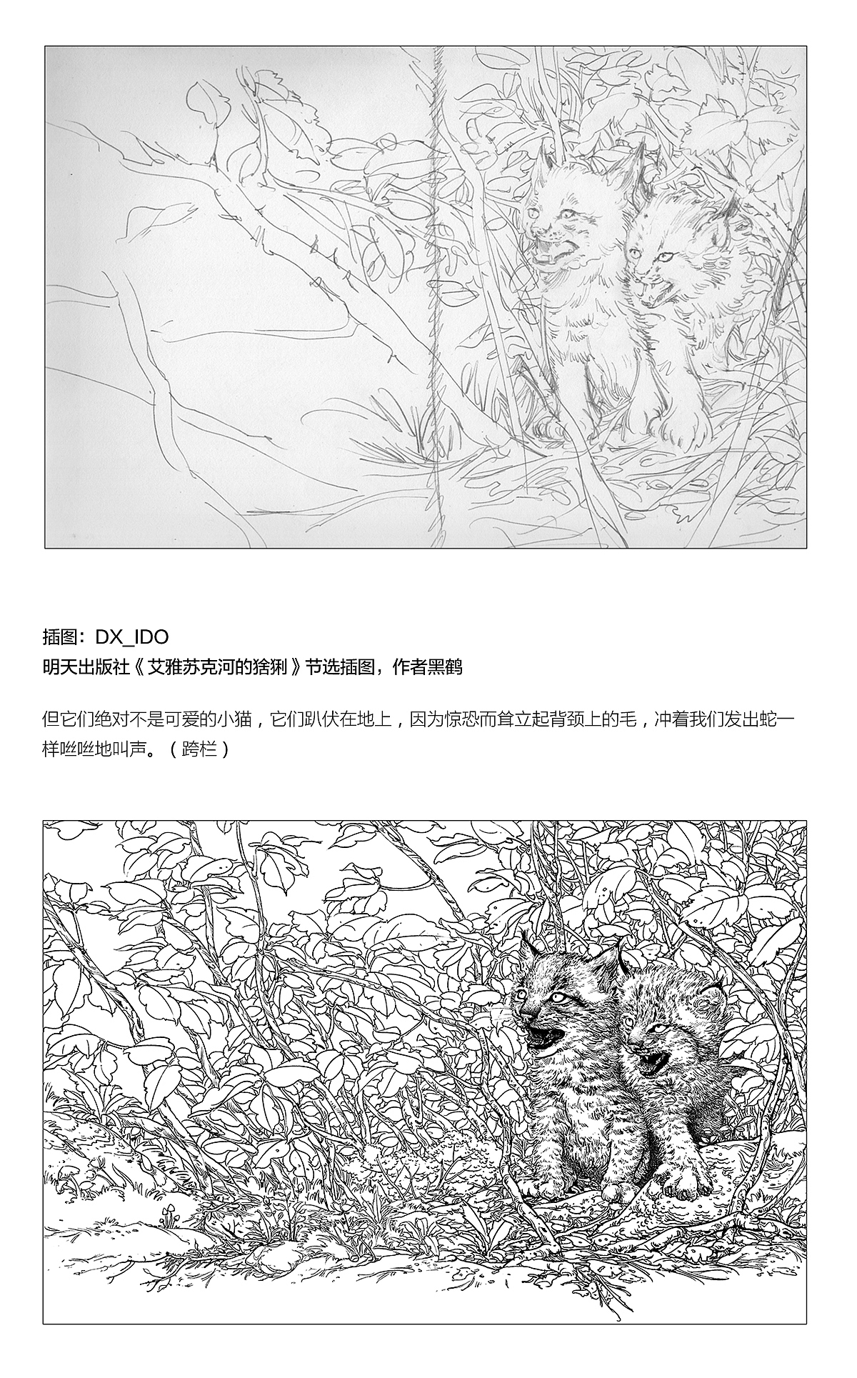 2189 一些插图整理（图ZMTI5NTg5MjA4） - 绘画 - 站酷设计师DX_IDO原创素材 - 站酷ZCOOL