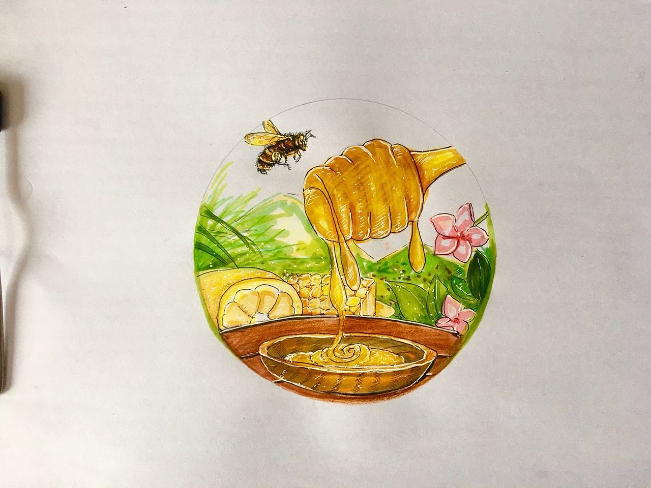 蜜蜂来采蜜（图ZMTI1NzY1NDg4） - 绘本 - 站酷设计师浪得丢丢原创素材 - 站酷ZCOOL