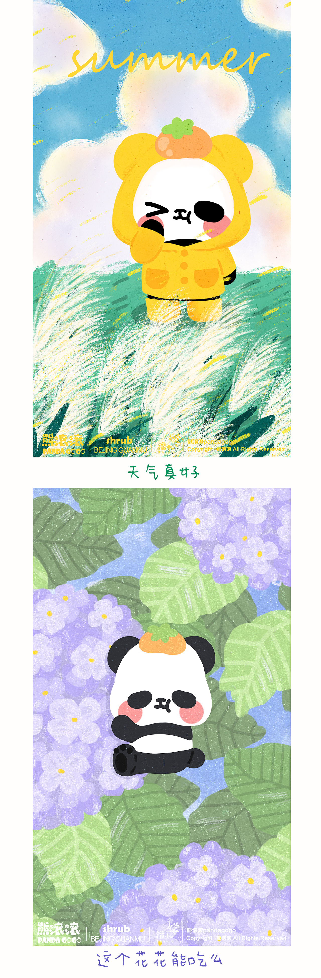 熊滚滚的五彩世界2