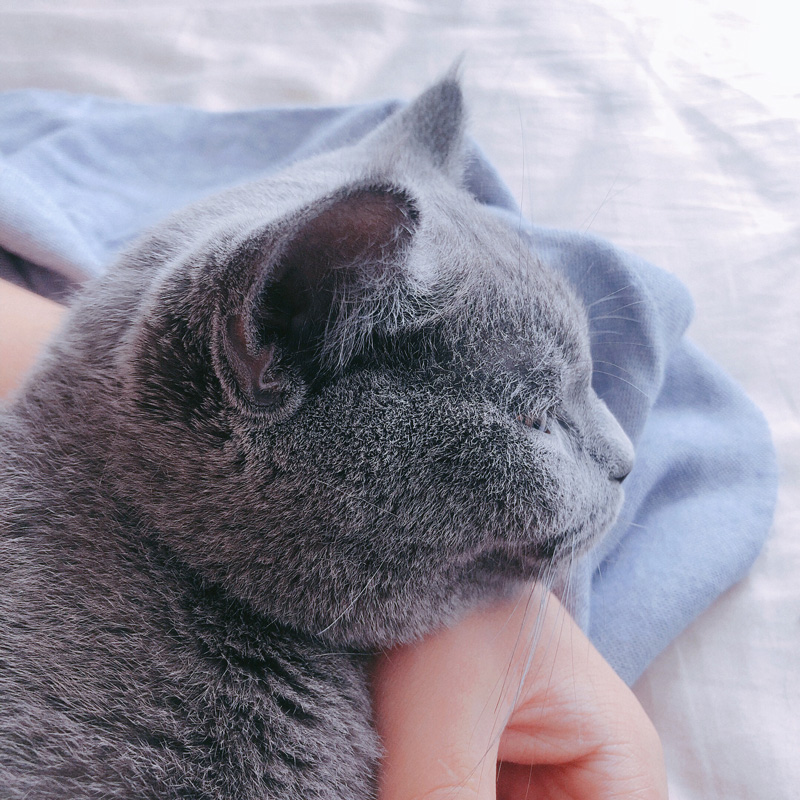 哆徠咪設計的個人主頁（背景預覽） - 主頁背景設置 - 站酷設計師哆徠咪設計原創(chuàng)素材 - 站酷ZCOOL