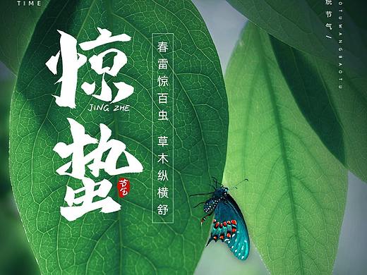 惊蛰  |  春雷乍动,万物生长。