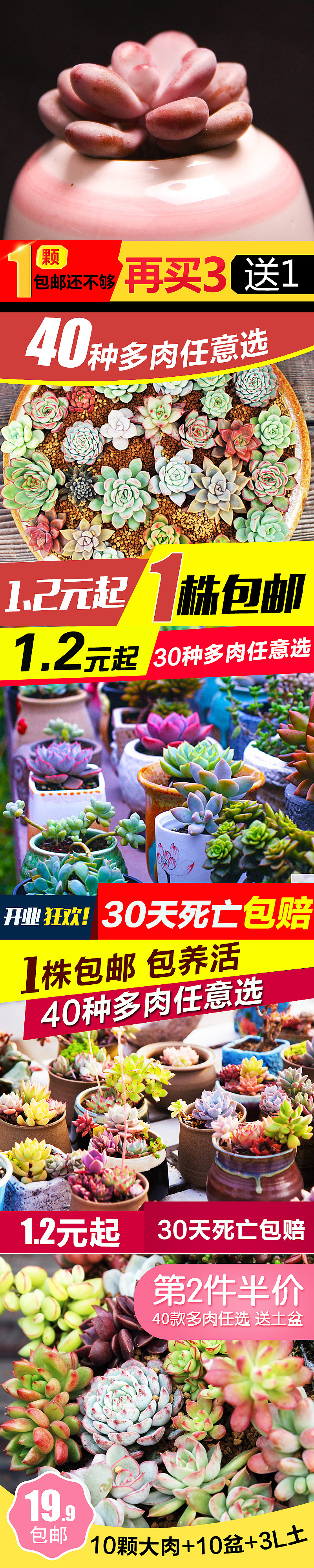 生鲜直通车一小部分（图ZOTY5NDUwMDQ=） - 品牌 - 站酷设计师jing19890315原创素材 - 站酷ZCOOL