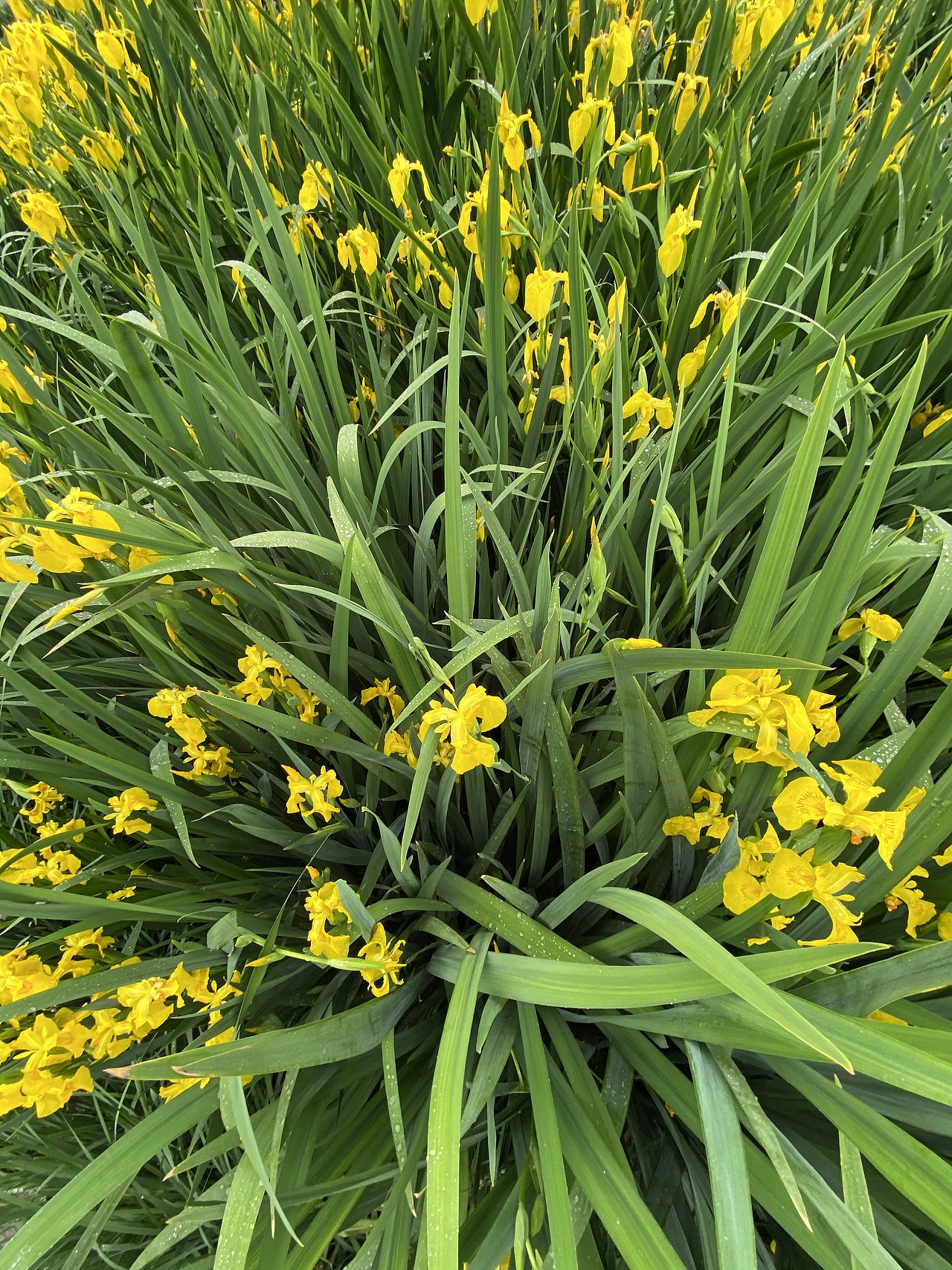 手机摄影-城市风光（图ZMjIzNjA2MDQw） - 环境/建筑摄影 - 站酷设计师灰鸡说原创素材 - 站酷ZCOOL