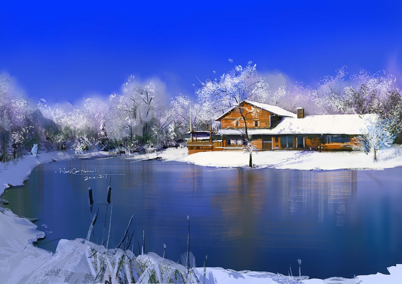 挪威的森林|插画|商业插画|white9527_原创作品-站酷zcool