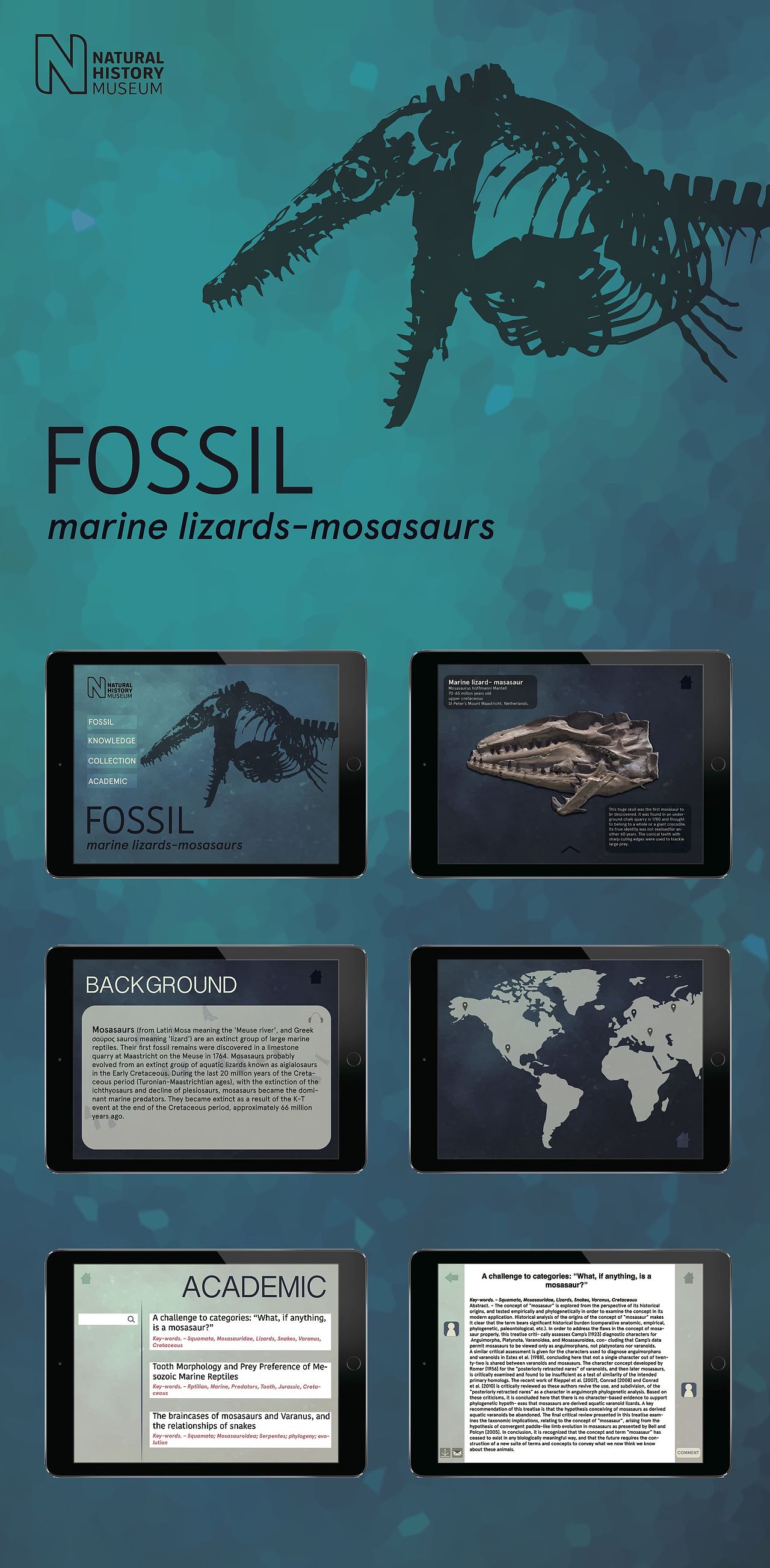 FOSSIL - 英国自然历史博物馆 沧龙展区（图ZNjU5MjcxMjQ=） - APP界面 - 站酷设计师芝麻是只猫原创素材 - 站酷ZCOOL