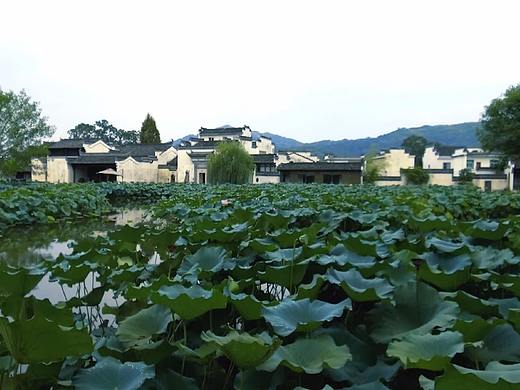 周末 黄山小镇走一走