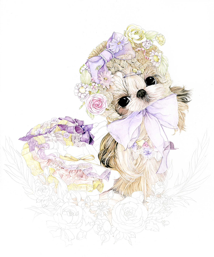 甜蜜花园里的西施犬