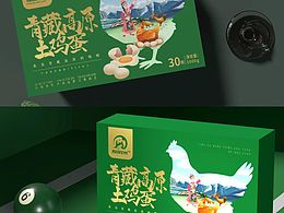 插画包装
