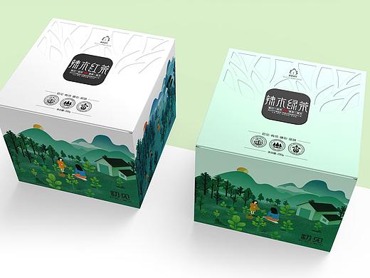 辣木花茶包装设计-深圳圣智扬包装设计案例