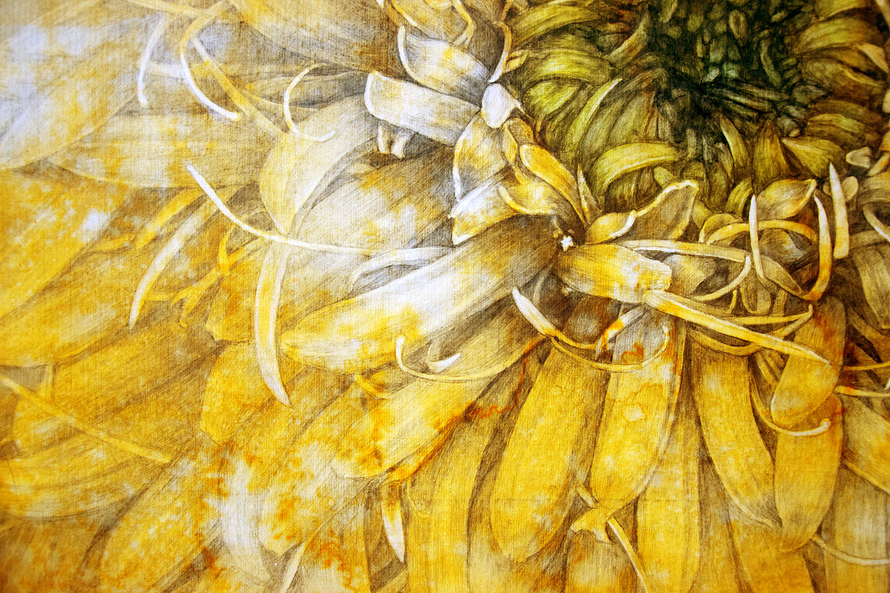 手绘《生命之花》