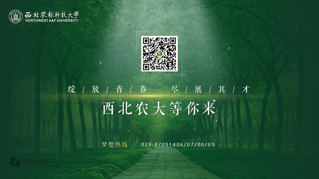 锐普PPT定制案例丨农林科技大学校招PPT（图ZMjE4NTYxNDc2） - PPT/Keynote - 站酷设计师锐普新媒体部原创素材 - 站酷ZCOOL