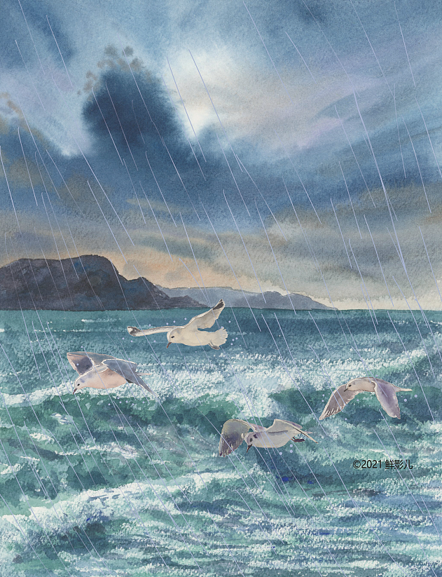 高尔基《海燕》图书插画