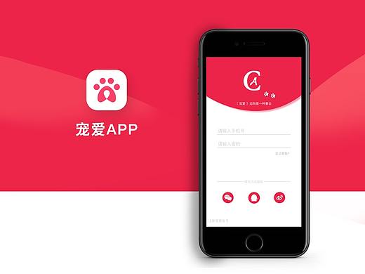 宠物APP