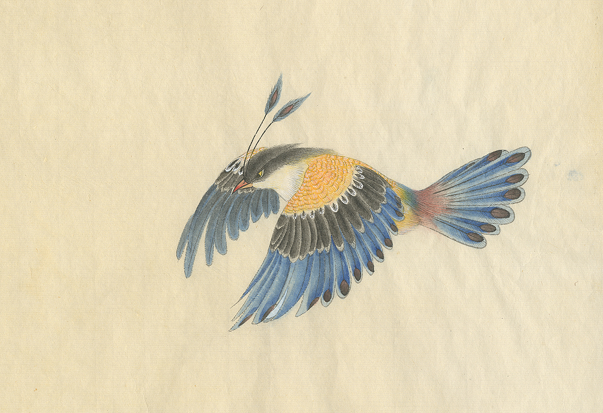 （by 老三）派格元年（2011-2012）（圖ZMzk0MTYzOTI=） - 藝術插畫 - 站酷設計師老三叁原創(chuàng)素材 - 站酷ZCOOL