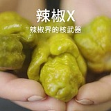 多吃辣条少吃饭的头像