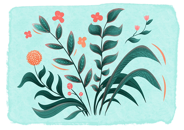 植物插画·颗粒感（图ZMzE4NDg4NTMy） - 创作习作 - 站酷设计师禾二有四点原创素材 - 站酷ZCOOL