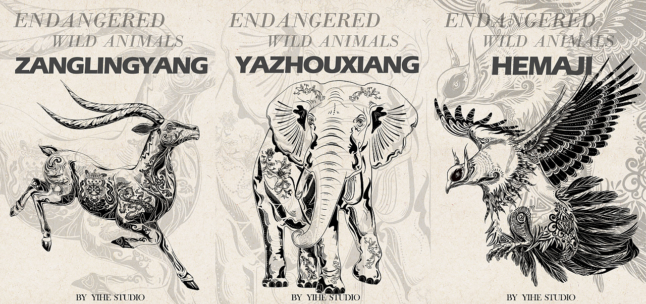 濒危保护动物集合