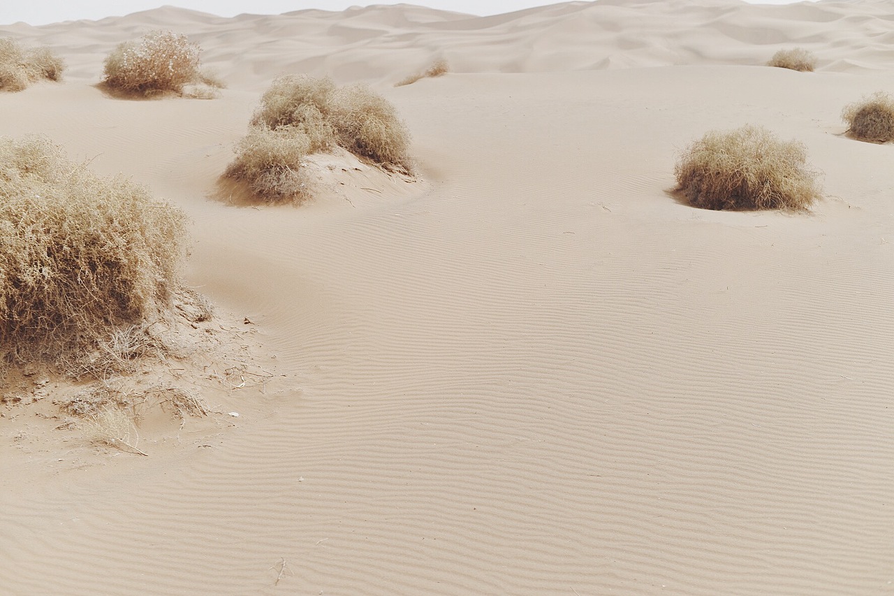 沙漠（图ZMTEwNjY3OTE2） - 风光摄影 - 站酷设计师MenthaM原创素材 - 站酷ZCOOL