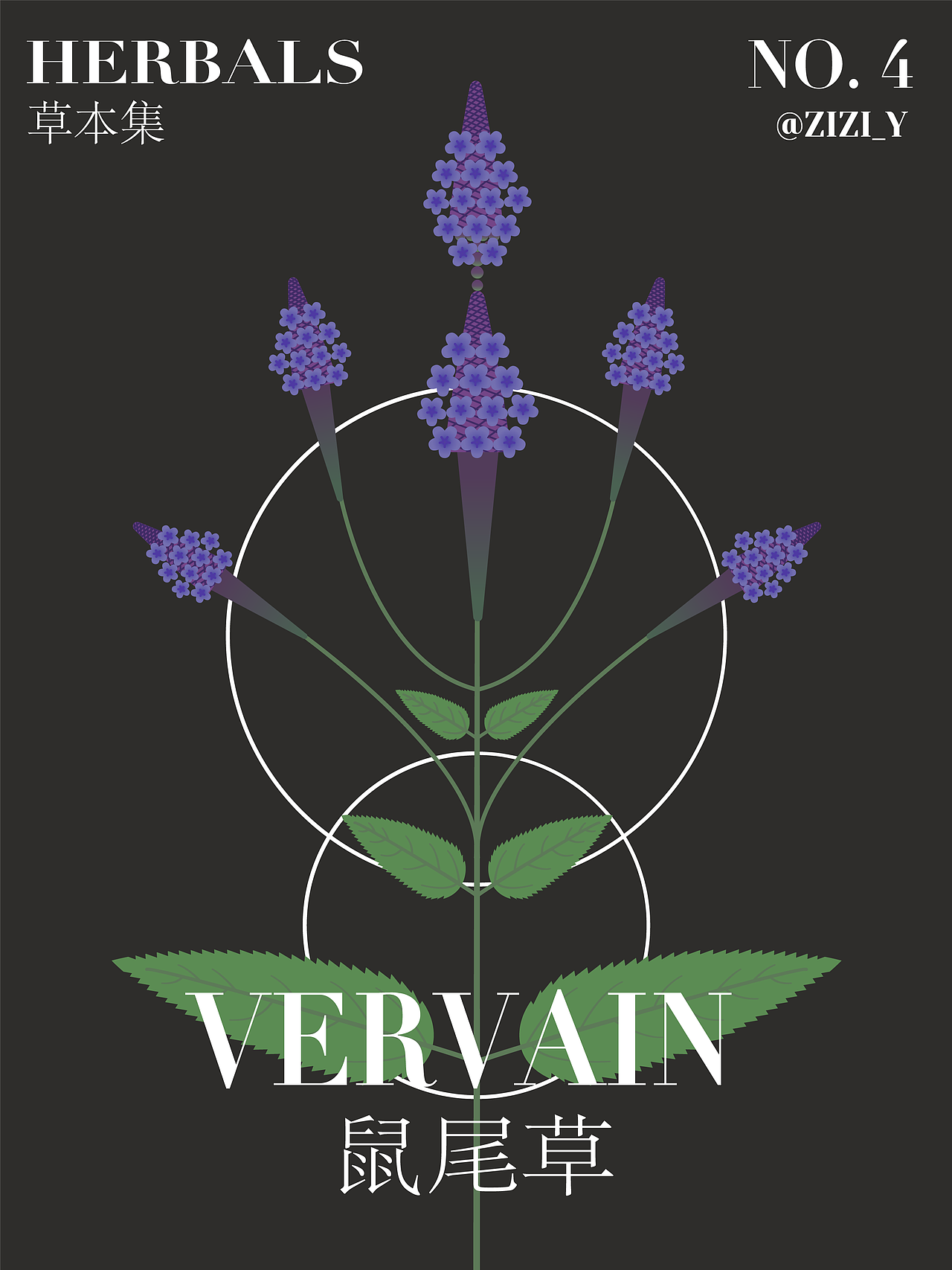 草本植物·草花系列（图ZMzA0NzM1MDQ4） - 创作习作 - 站酷设计师ZiasPocketDesign原创素材 - 站酷ZCOOL