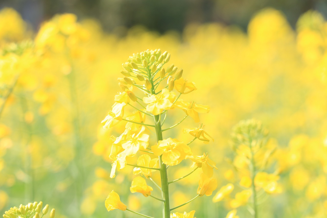 所到之处,皆是风景。