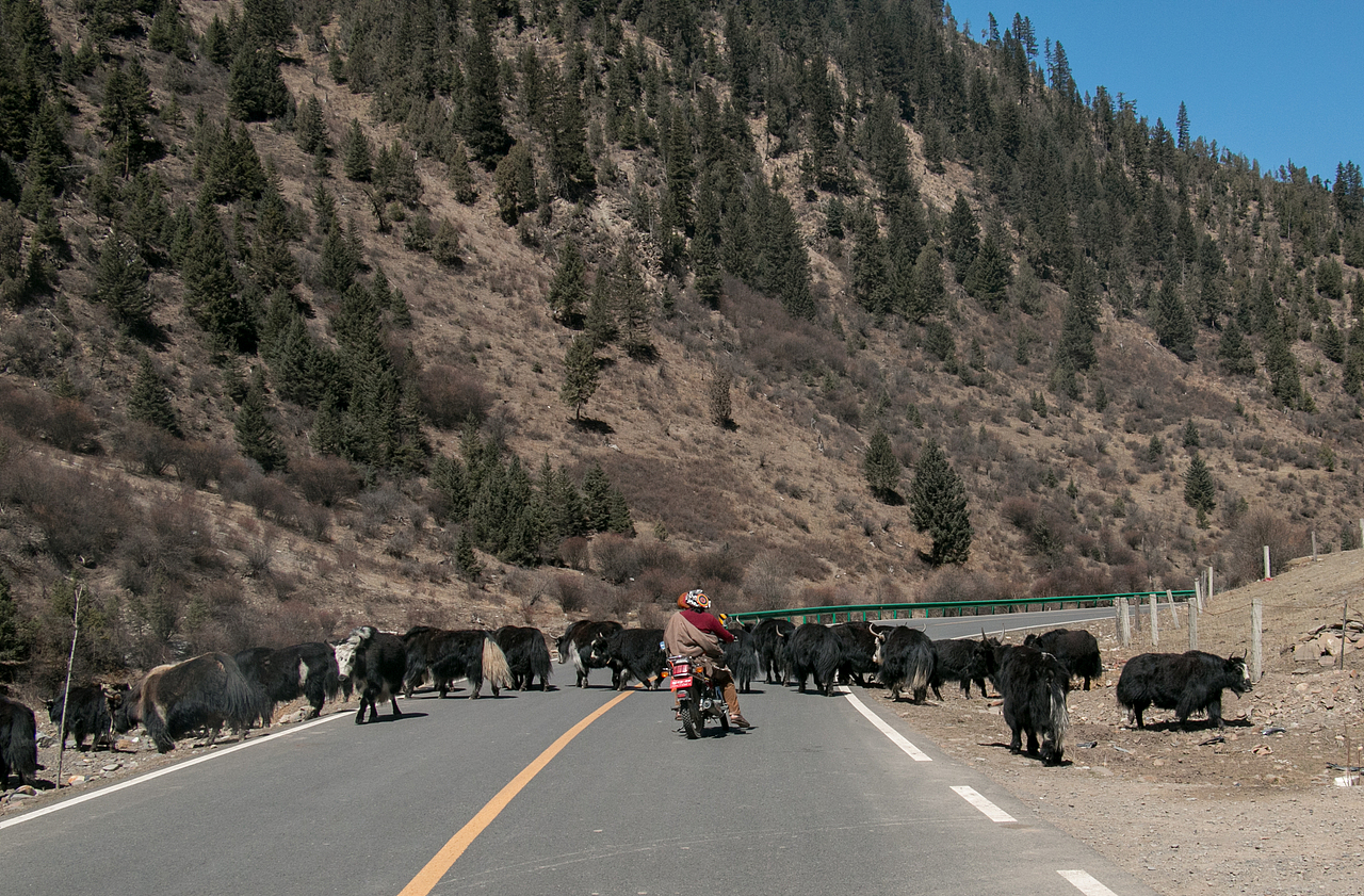 你的气质里藏着你走过的路（图ZMjcyMTk1MjQ0） - 人文/纪实摄影 - 站酷设计师Marcou苏杞北原创素材 - 站酷ZCOOL