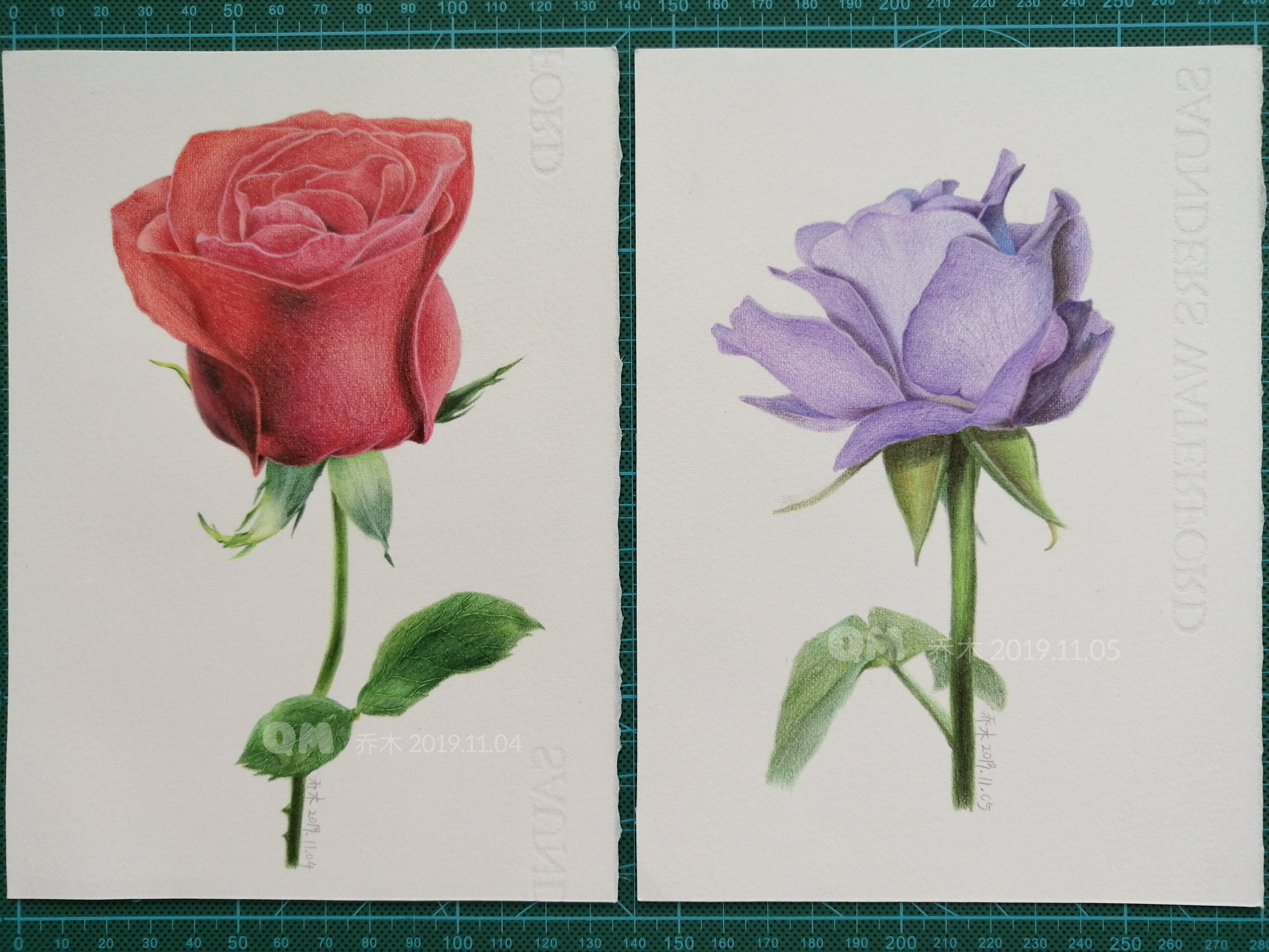 彩铅手绘丨玫瑰花 月季花|纯艺术|绘画|一枚懒乔木 - 原创作品 - 站酷 (ZCOOL)