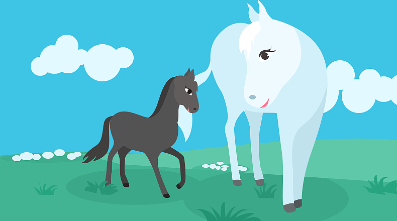 大白马和小黑马