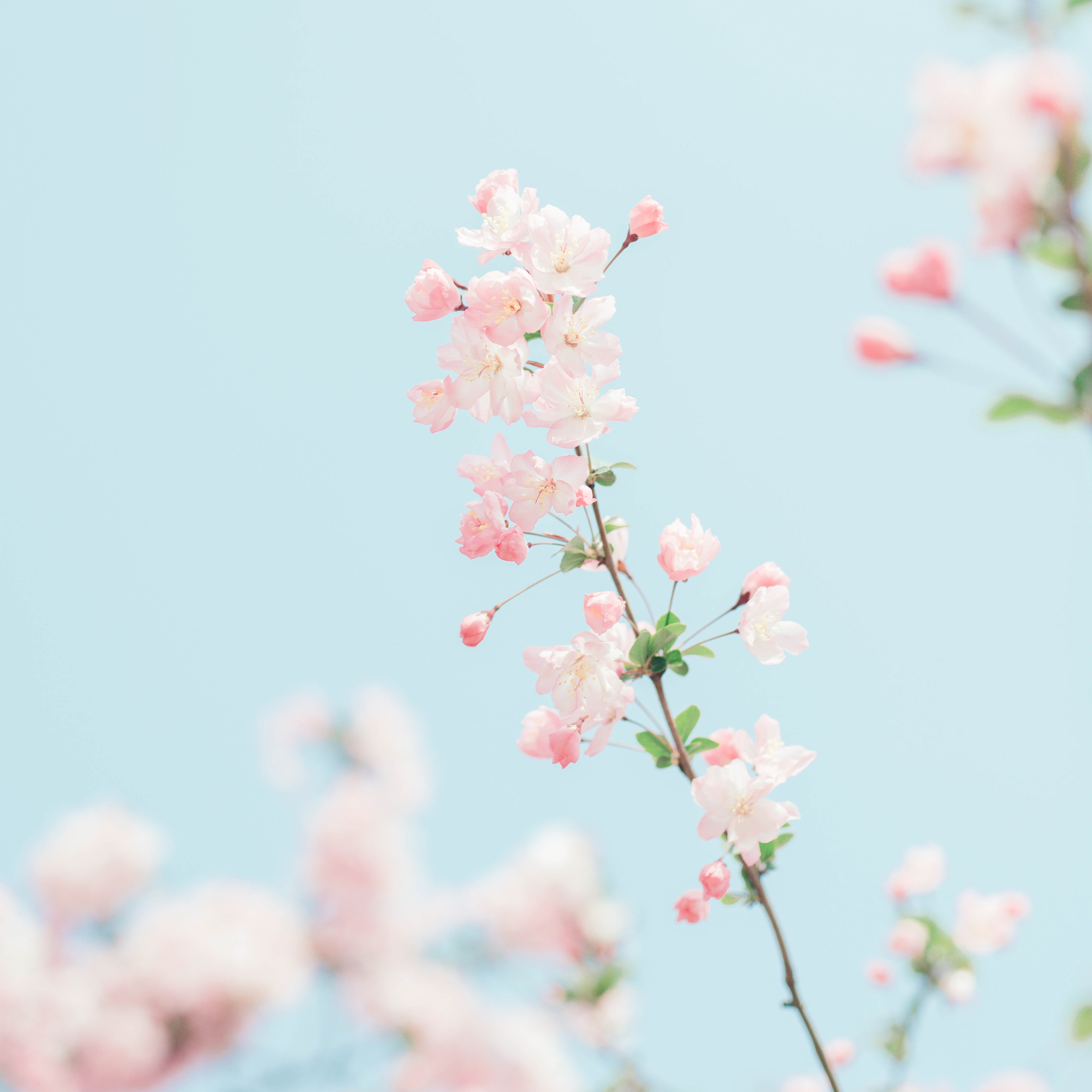 清風Moon_的个人主页（封面预览） - 主页封面设置 - 站酷设计师清風Moon_原创素材 - 站酷ZCOOL