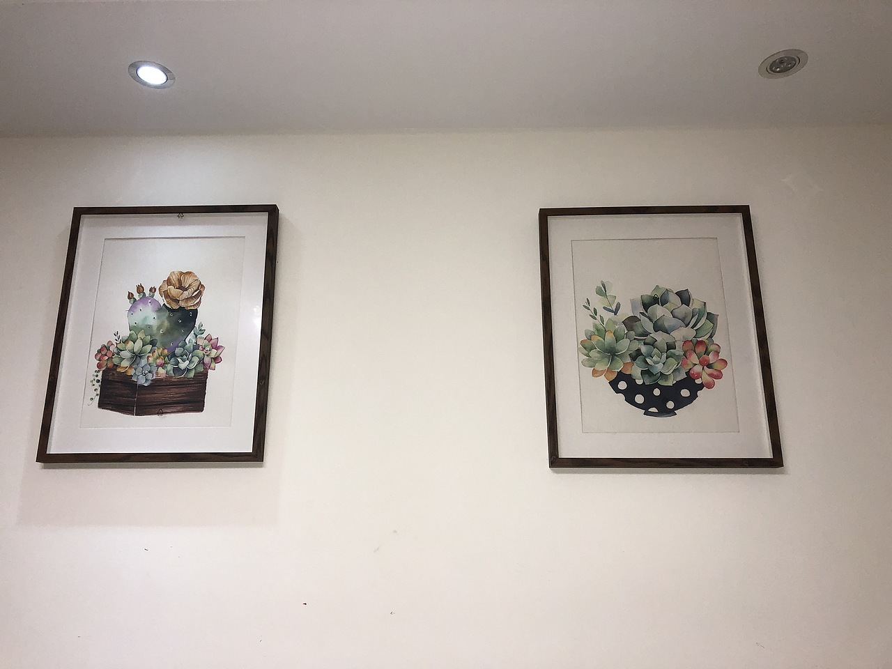 多肉装饰画（图ZMTc4MjQyMzc2） - 绘画 - 站酷设计师dingchang0820原创素材 - 站酷ZCOOL