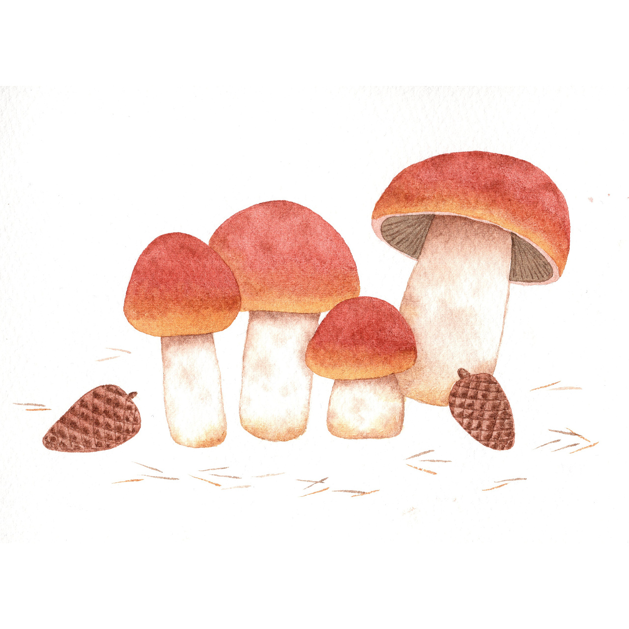水彩|蘑菇开会|插画|创作习作|yuuyake - 原创作品 - 站酷 (zcool)