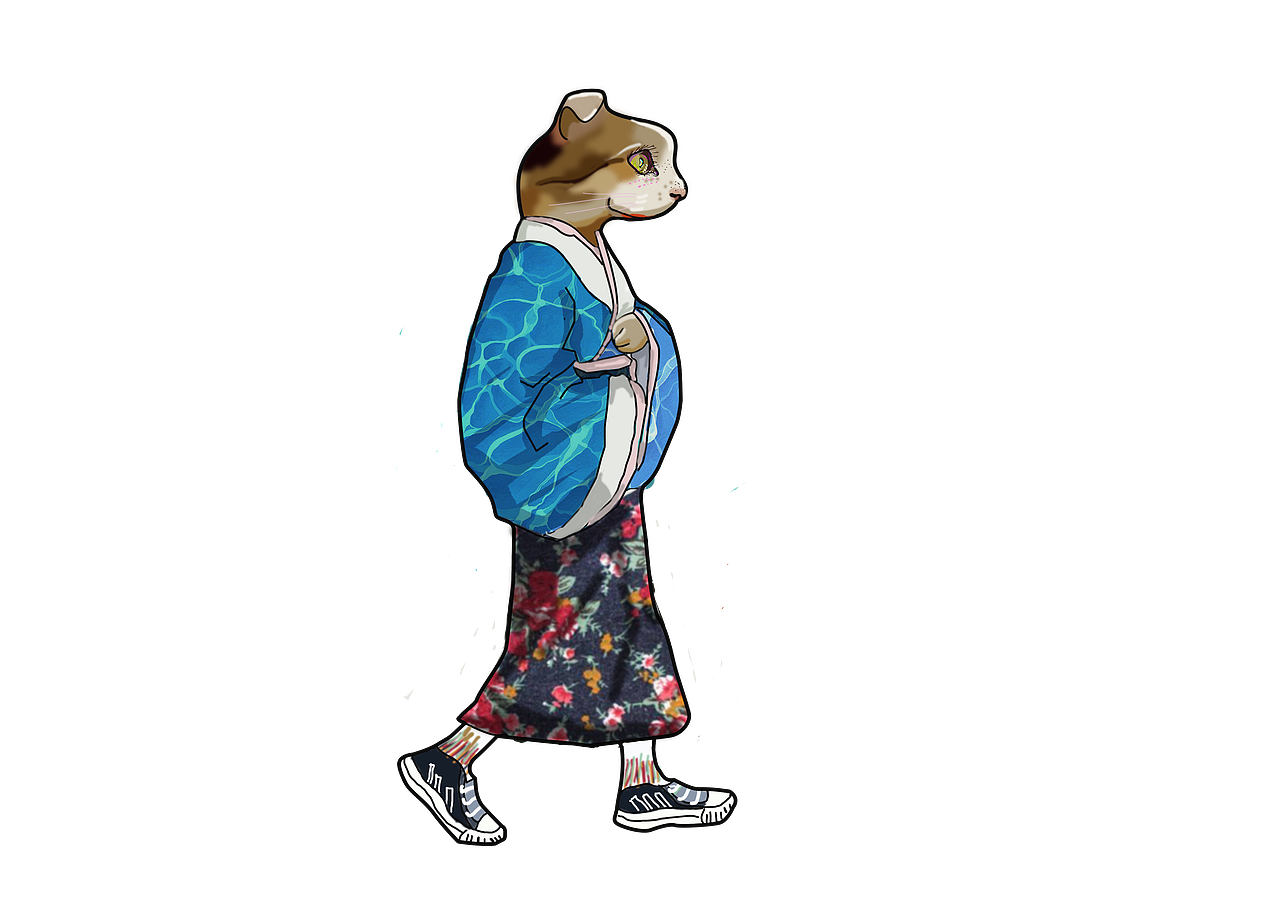 邓二狗与胡拉喵