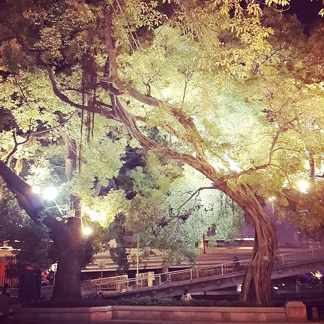 2014年上半年【instagram生活随手拍记录】