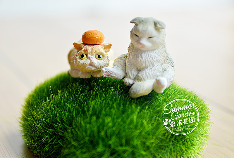 绿植手作之萌宠喵咪--《夏末花园成长日记10》（图ZMTc4OTc2NjQ=） - 其他手工艺 - 站酷设计师zxsummer原创素材 - 站酷ZCOOL
