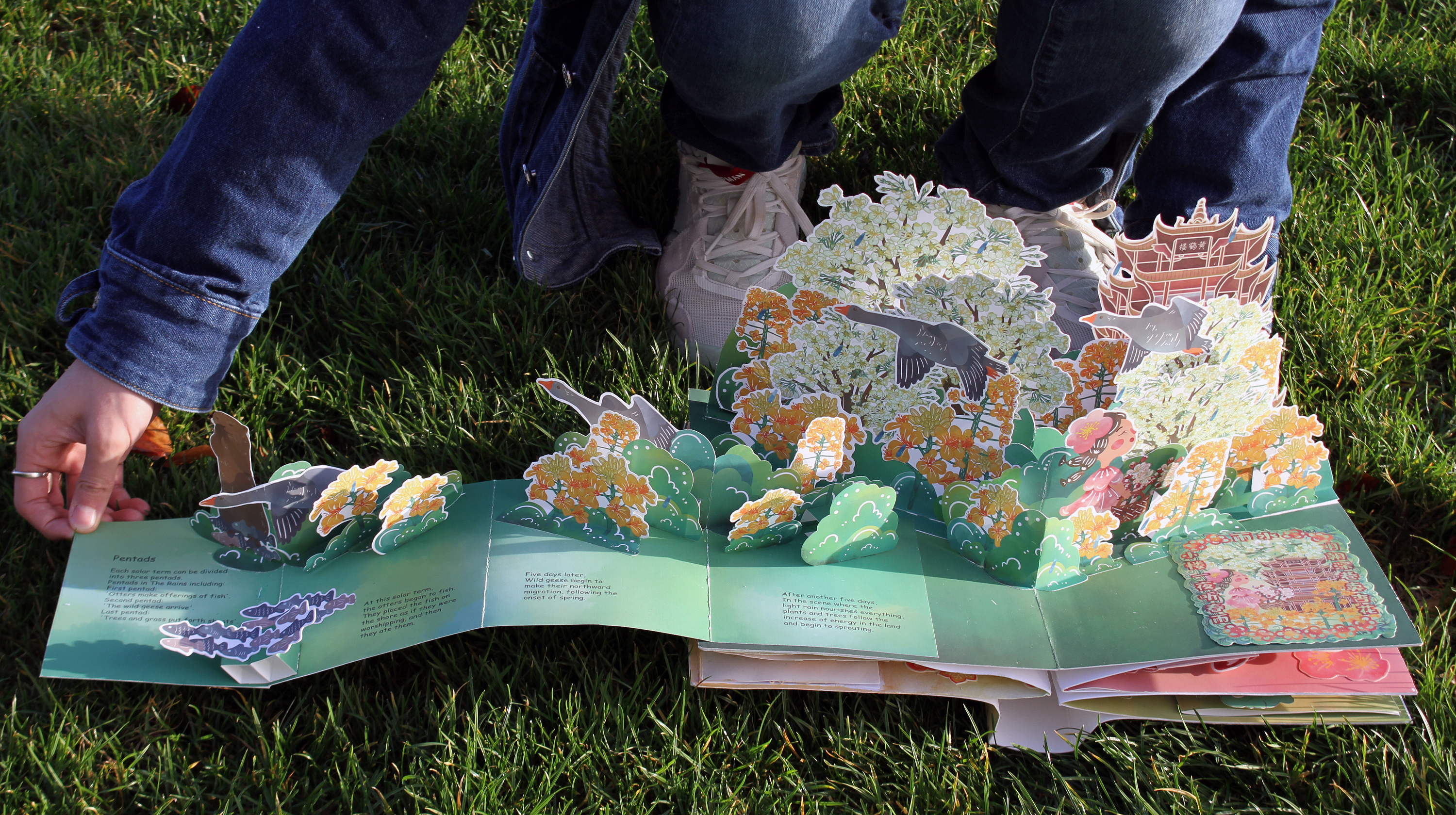 24节气儿童立体书设计